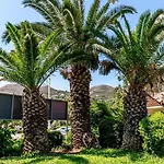 호텔 Palmetto