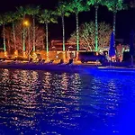 Palmetto 셀리미예