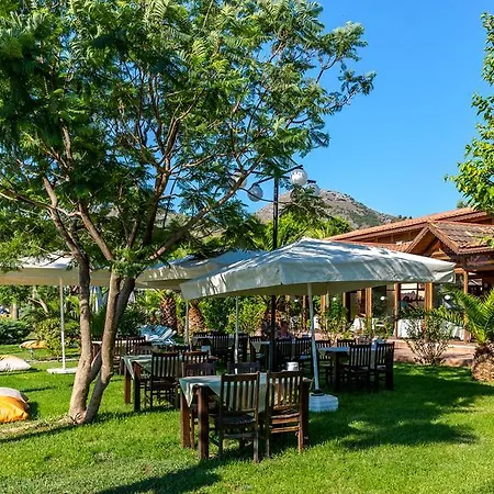 Palmetto Selimiye (Aegean)