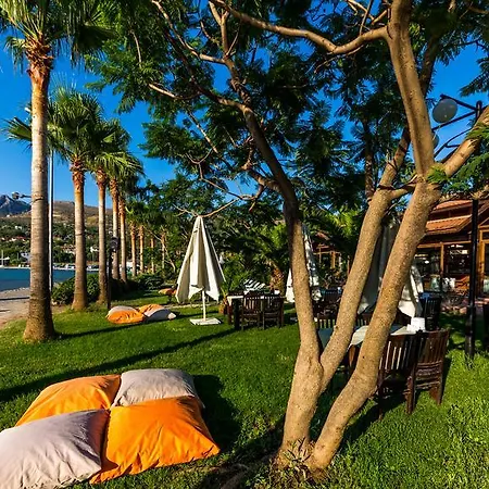 Hotel Palmetto Selimiye (Aegean)