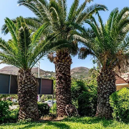 Hotel Palmetto