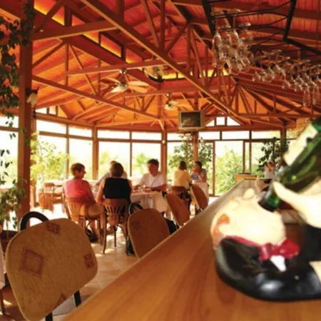 Palmetto Selimiye (Aegean)