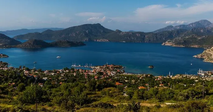 Palmetto Selimiye (Aegean)