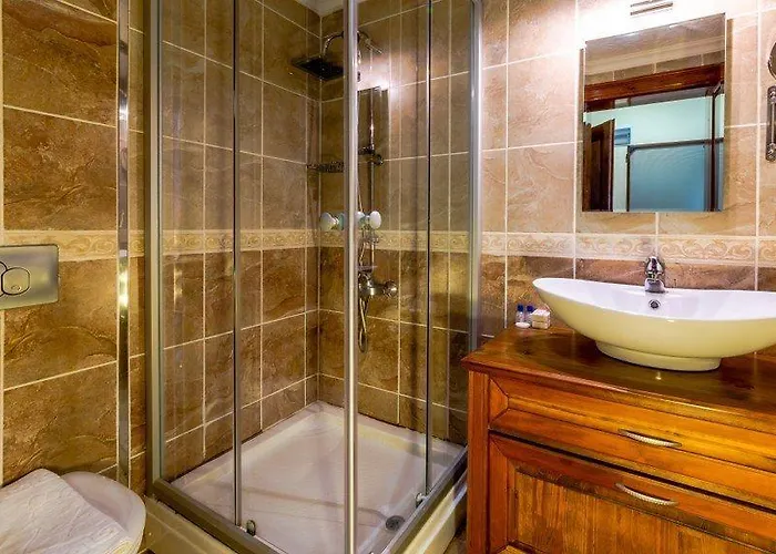 Palmetto Selimiye (Aegean)