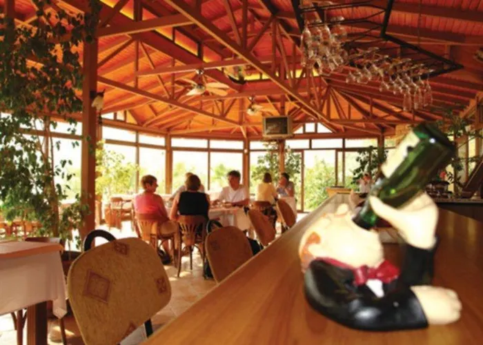 Palmetto Selimiye (Aegean)