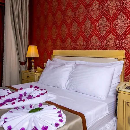 Palmetto Hotel 2*