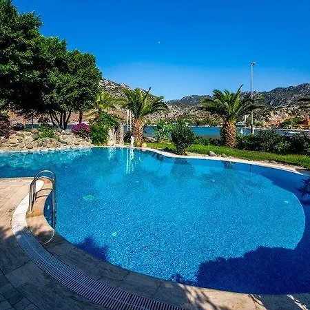 Palmetto Селемие