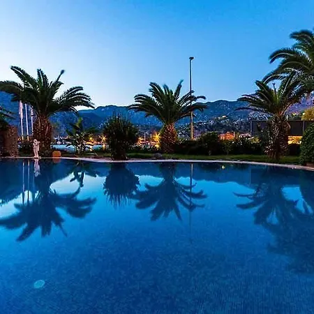 Palmetto Hotel