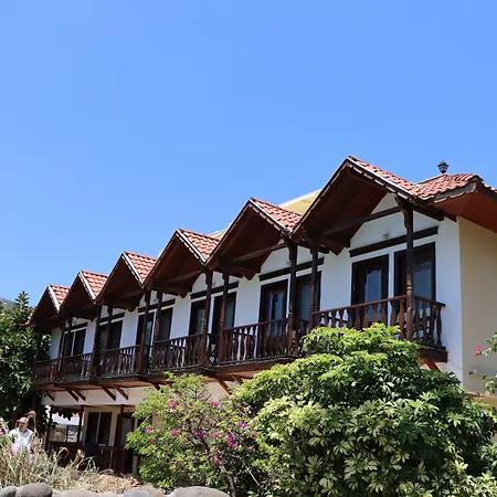 Palmetto סלימייה