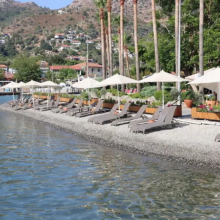 Palmetto Отель 2*