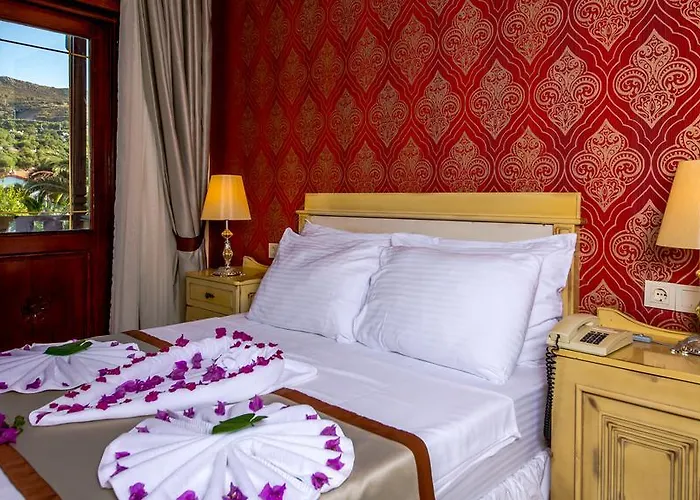 Palmetto מלון 2*