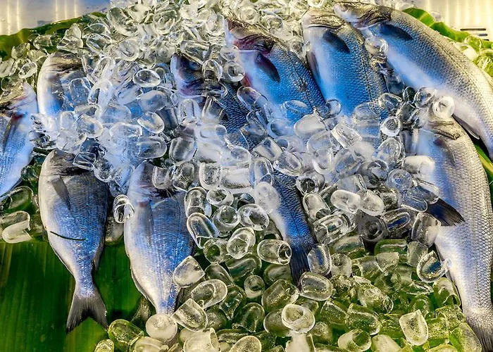 מלון Palmetto 2*