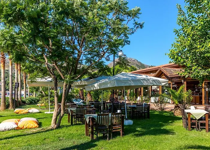 Palmetto סלימייה