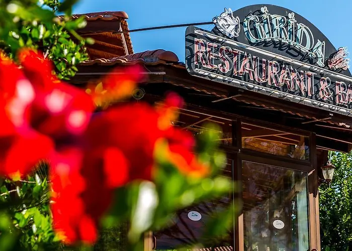 Palmetto סלימייה