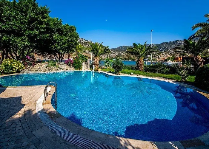 Palmetto סלימייה