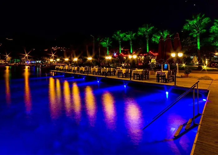 Palmetto סלימייה