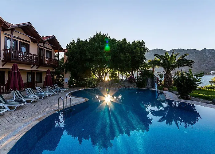 Palmetto סלימייה