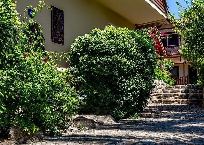 Palmetto מלון 2*