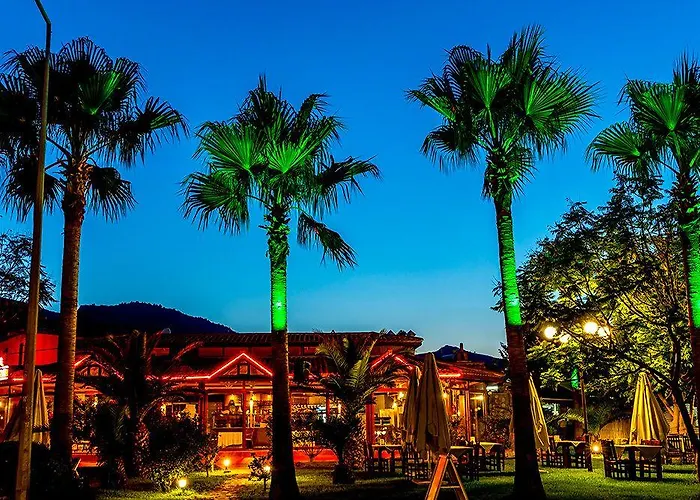 Palmetto סלימייה