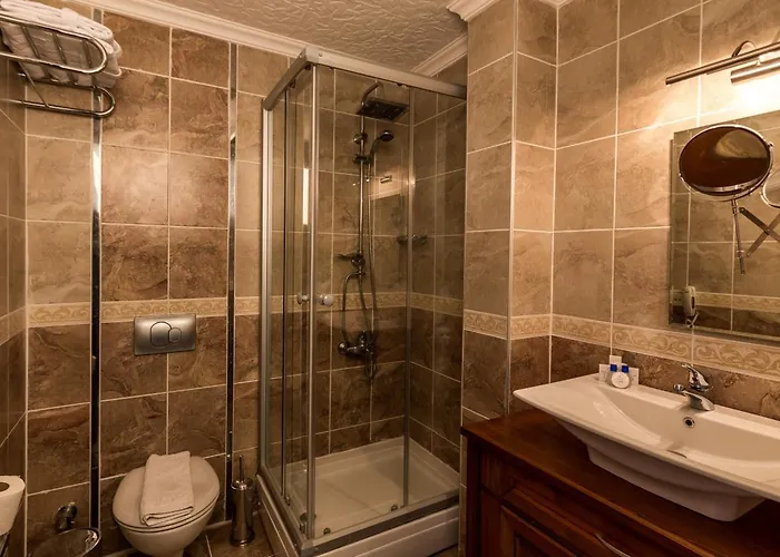 Palmetto סלימייה