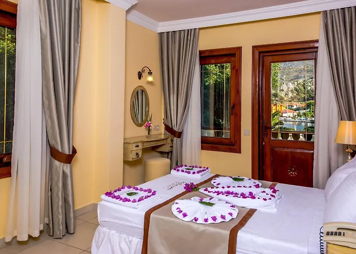 Palmetto מלון 2*