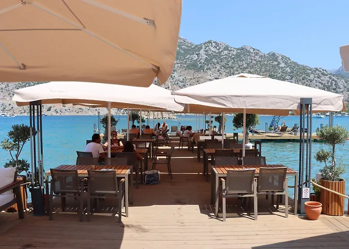 Palmetto 2* Selimiye