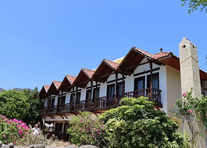 Palmetto סלימייה