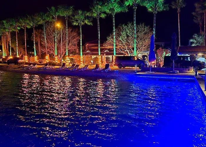 Palmetto סלימייה