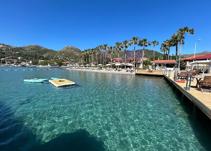 Palmetto מלון סלימייה