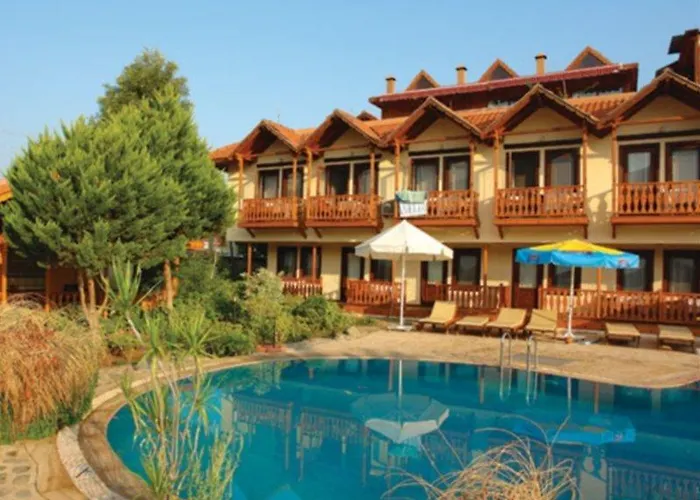 Palmetto סלימייה