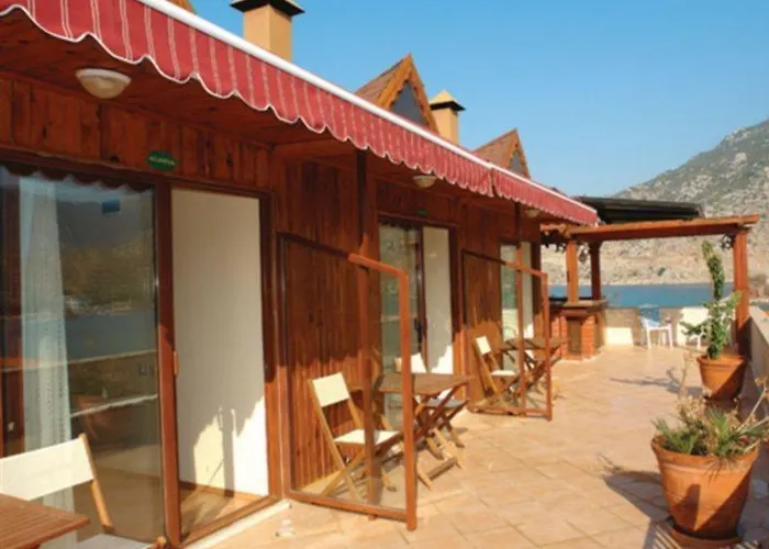 מלון Palmetto 2*